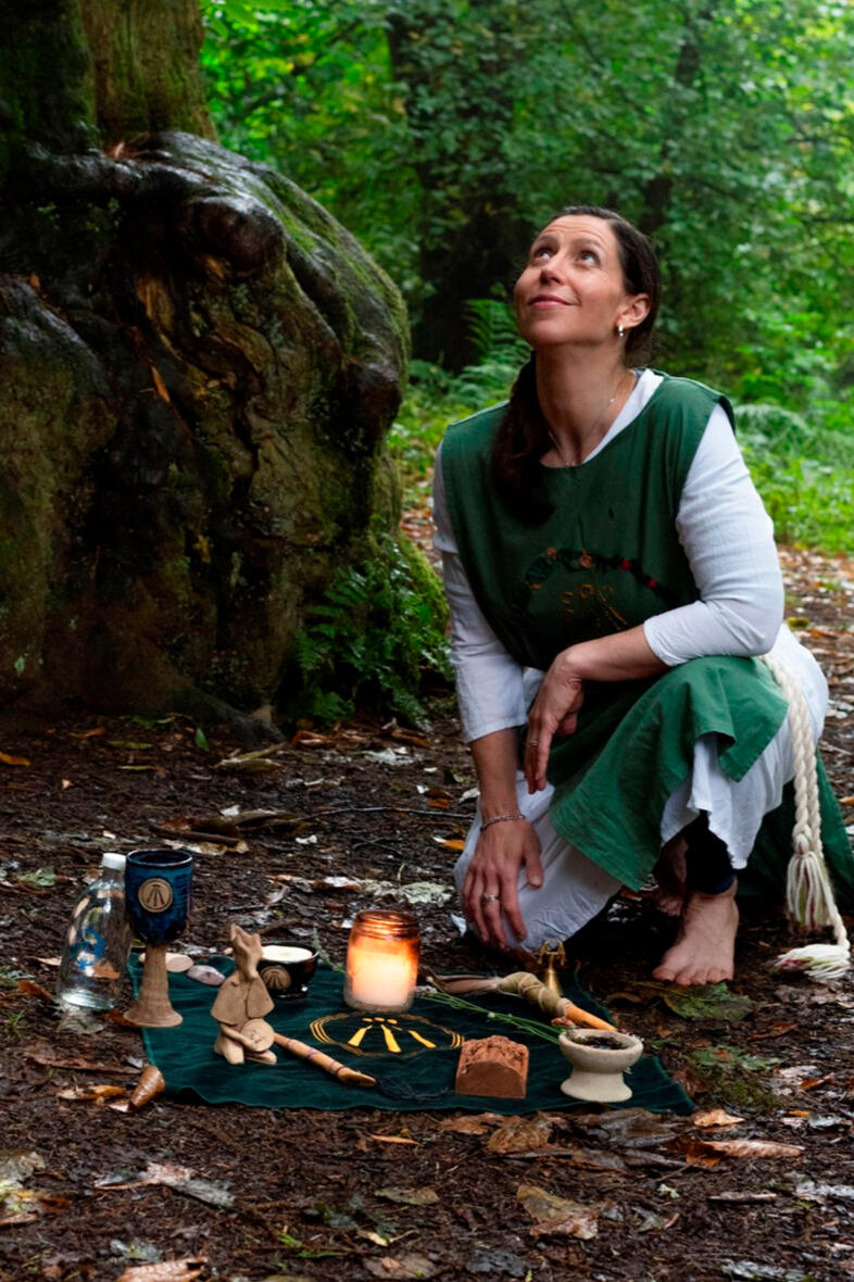 Photo looking up the wall of a ruined castle in the sunshine. A bright pink thistle is growing out of the wall on a ledge partway up.